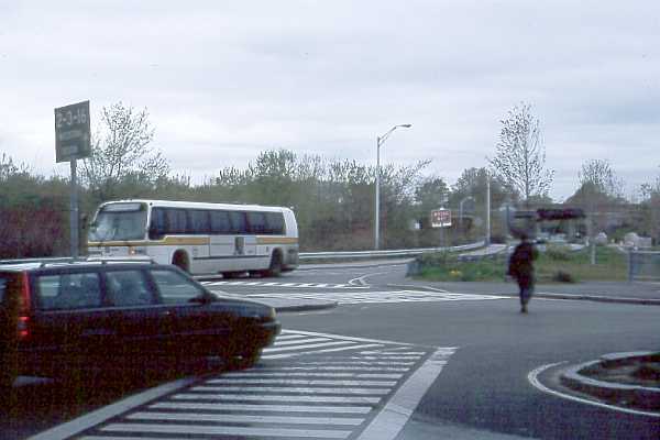 9905N11R22Crosswalk.jpg (24347 bytes)