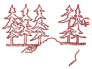 Pine trees